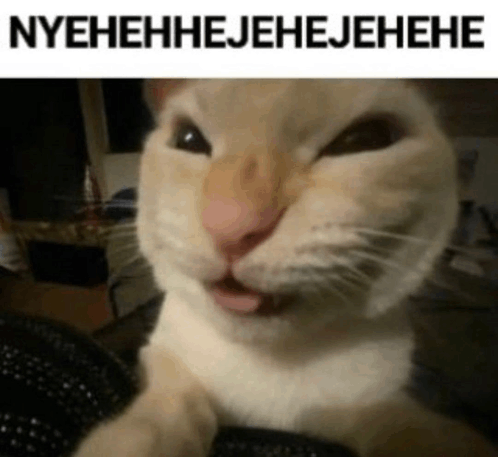 17479134834465413474762293622431