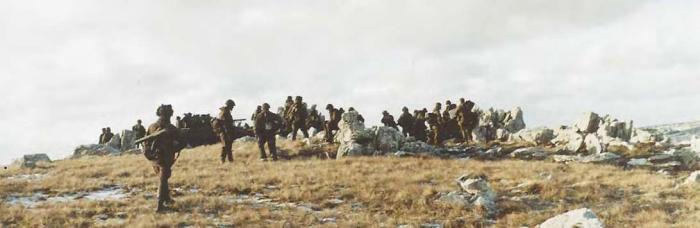 Falklands Scorpions
