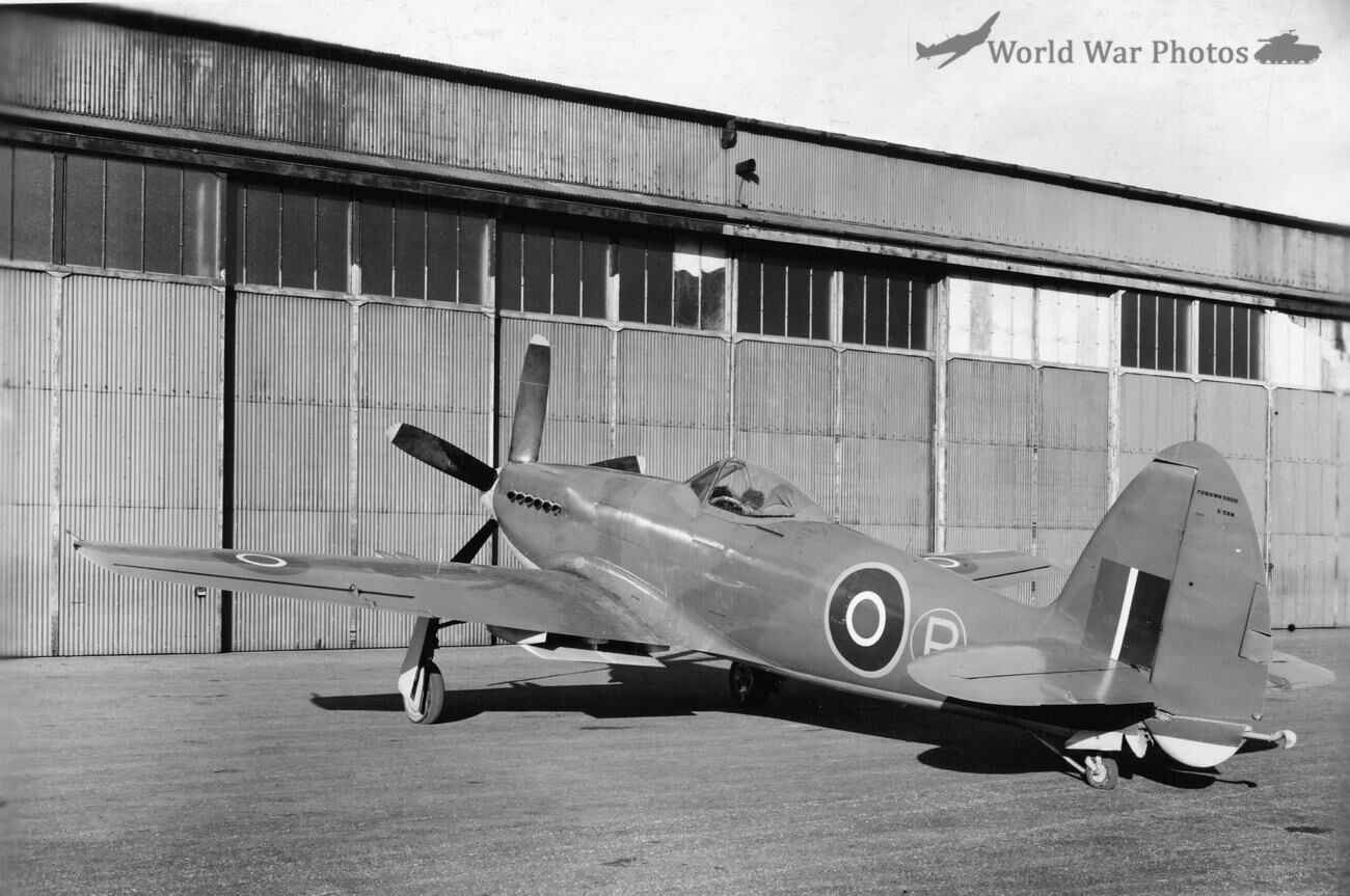 Supermarine Seafang F.31 3