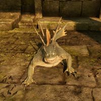 17718444775266217781108634797126