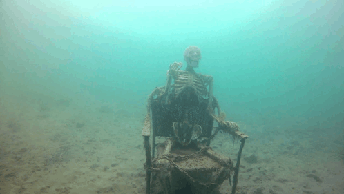 skeleton-meme-underwater