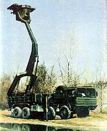 panther