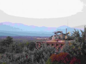 m48a5molf_1_new_530_398-300x225
