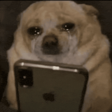 dog-scroll