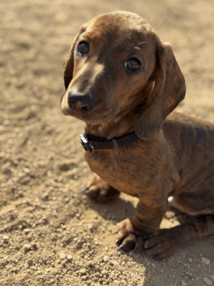 Screenshot 2025-10-11 222926