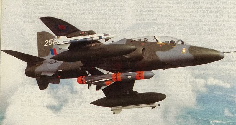 hawk1