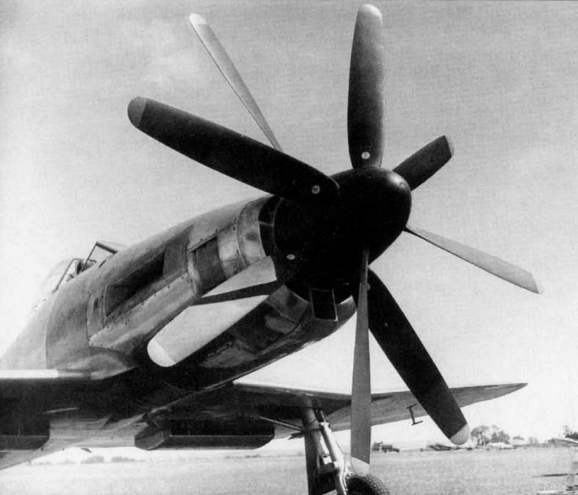 Westland Wyvern TF Mk.1 5