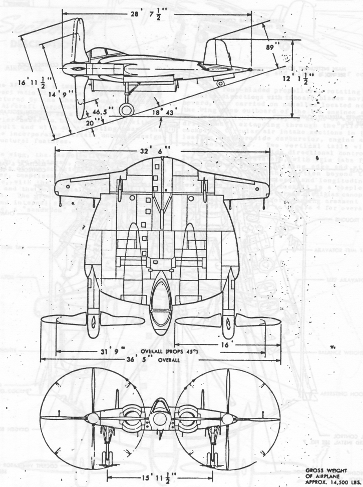 imagem_2025-11-13_184523866