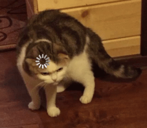cat-what