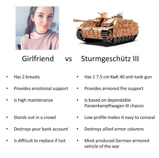 stug-life-is-the-best-life-v0-mriwts3nb18c1