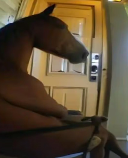 Screenshot 2025-03-17 184025