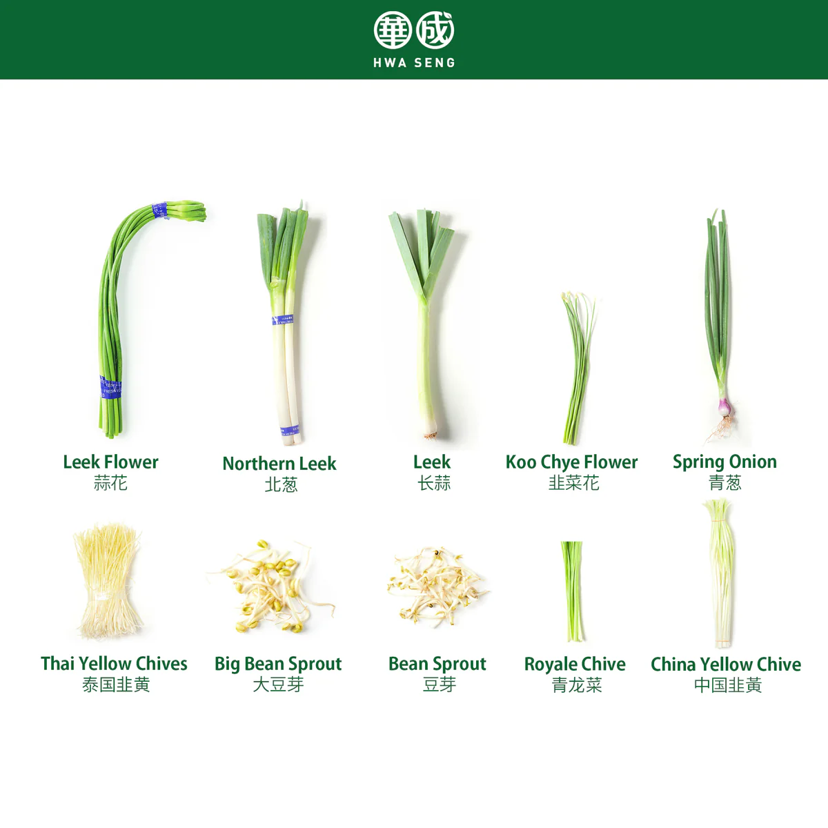 Sprouts_Leeks_Chive_copy_1200x1200