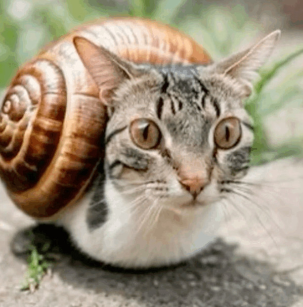 Skärmbild 2026-02-25 220700