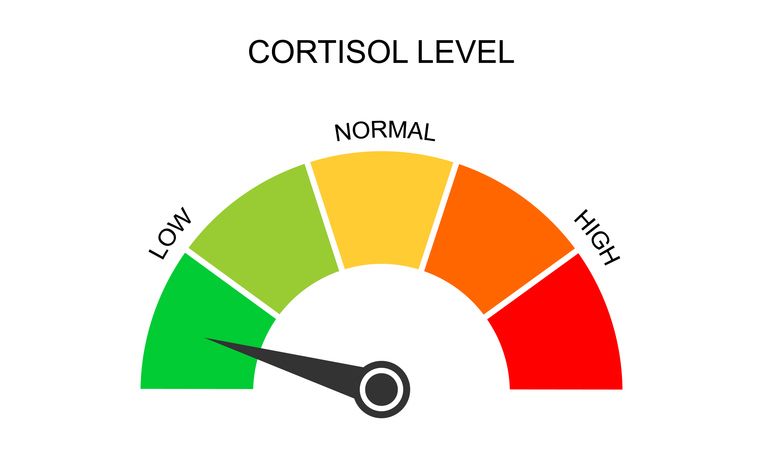 cortisol_levels_1_319eabd933