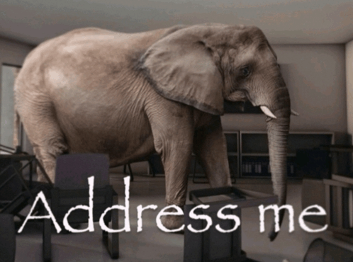 address-the-elephant-in-the-room-address-me