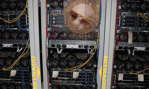 nitrado-last-oasis-servers
