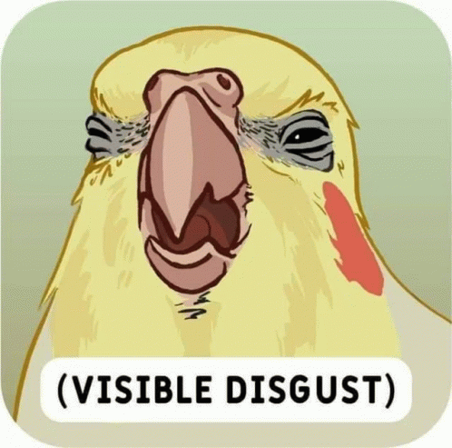disgust