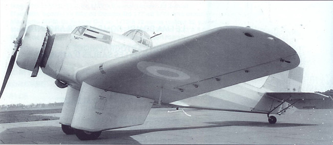 Bombi 1