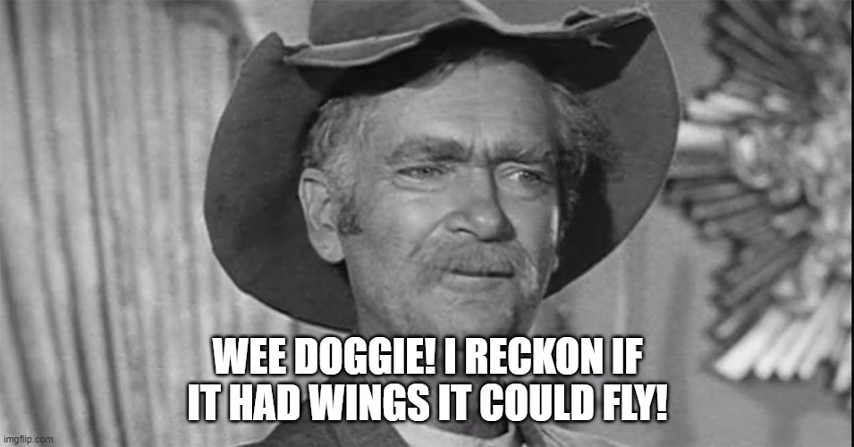 If it had wings, it could fly