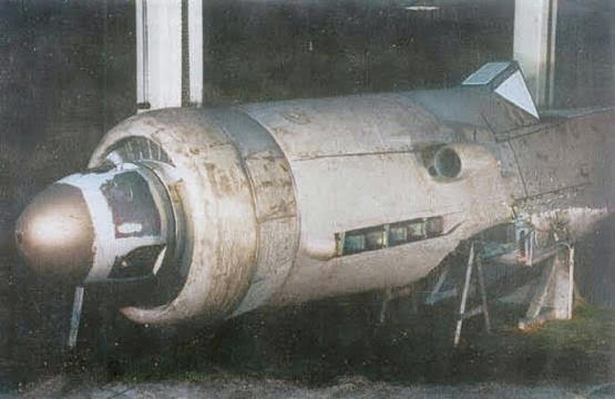 Fw 190 D14 with color