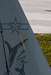 00612INDgy1i8ye1jt91kj30u01hchdu