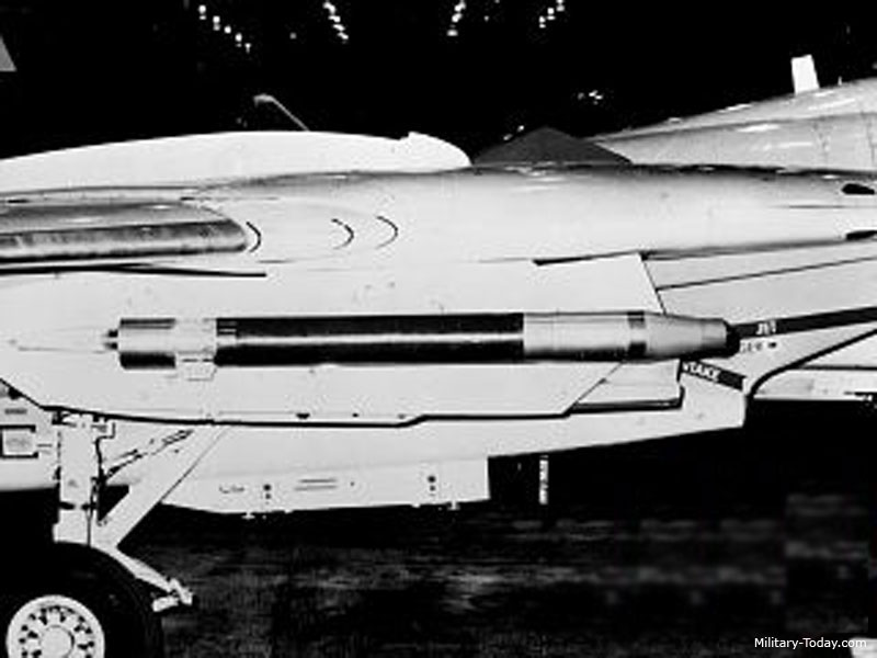 F-14A & AIM-95