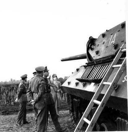 IWM (H 36978) Crop