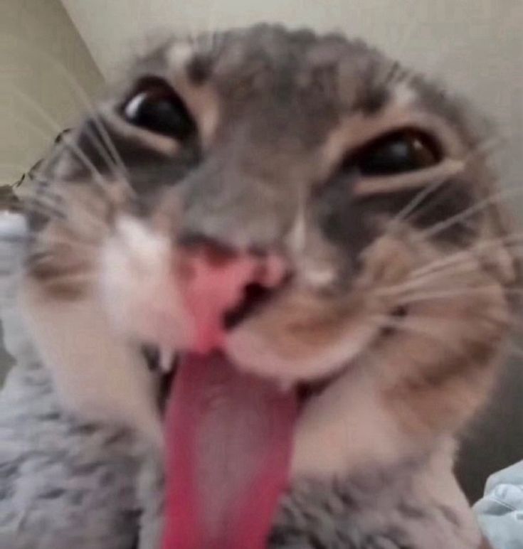 b0a287b6c4456b7f55fb2de95a9f4fd6