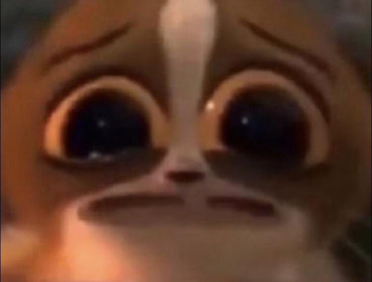 17593197862159118643041912253212