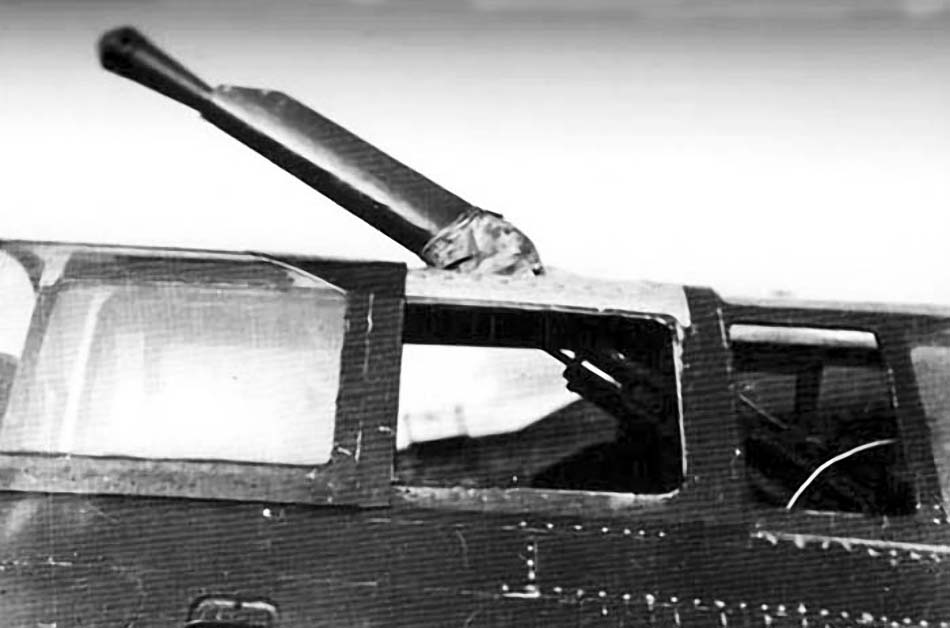 c6n1s-3