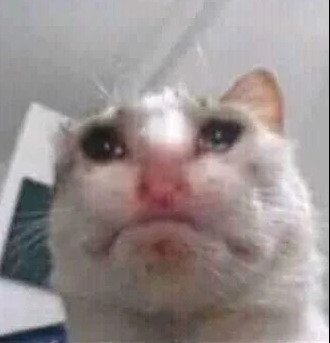 Screenshot 2026-01-22 201244