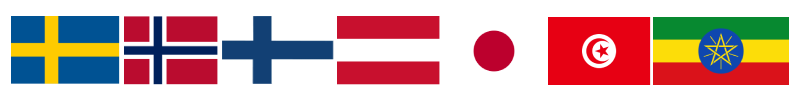 flags 91