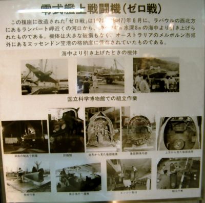 a3606-01-NationalKagakuMuseum-1989Hiraoka-05