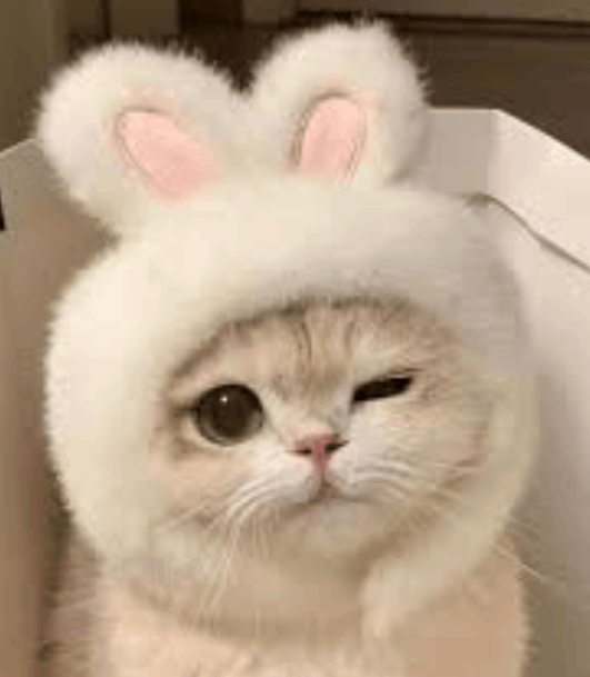 Screenshot 2026-02-25 155944