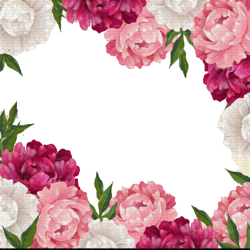 flowerr