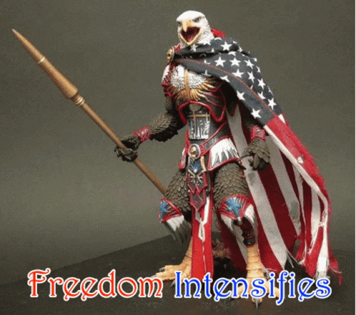 freedom-intensifies-eagle
