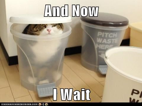 17773166491696503911343378329453