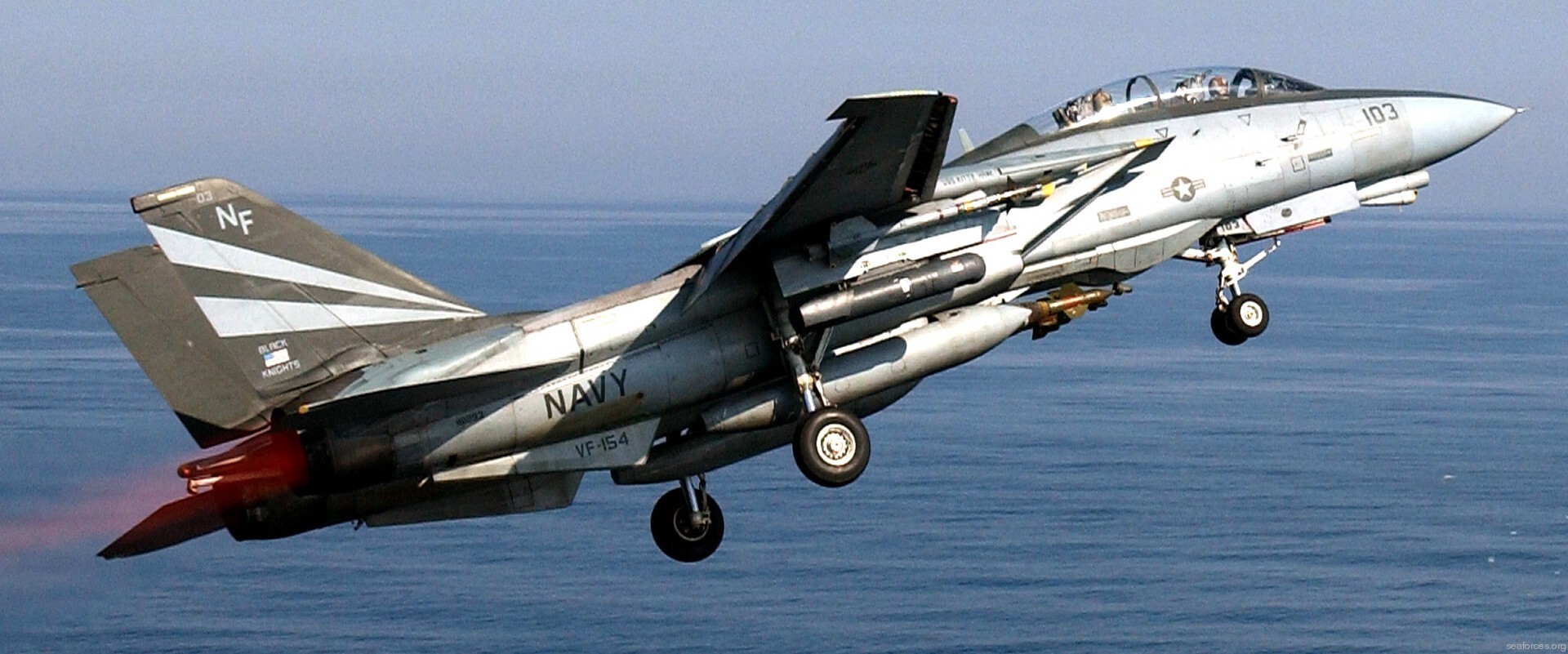 Grumman F-14A Tomcat(1998): Anytime, Baby! - Aircraft
