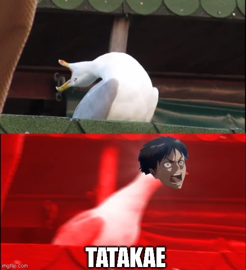 sstwitter_n4yyvt1vt3u61