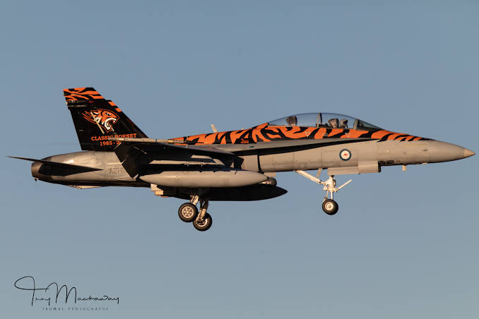 images - 2025-08-21T050441.569