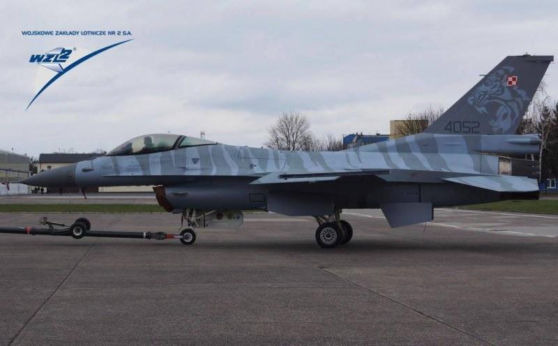 Polish-Viper-Team