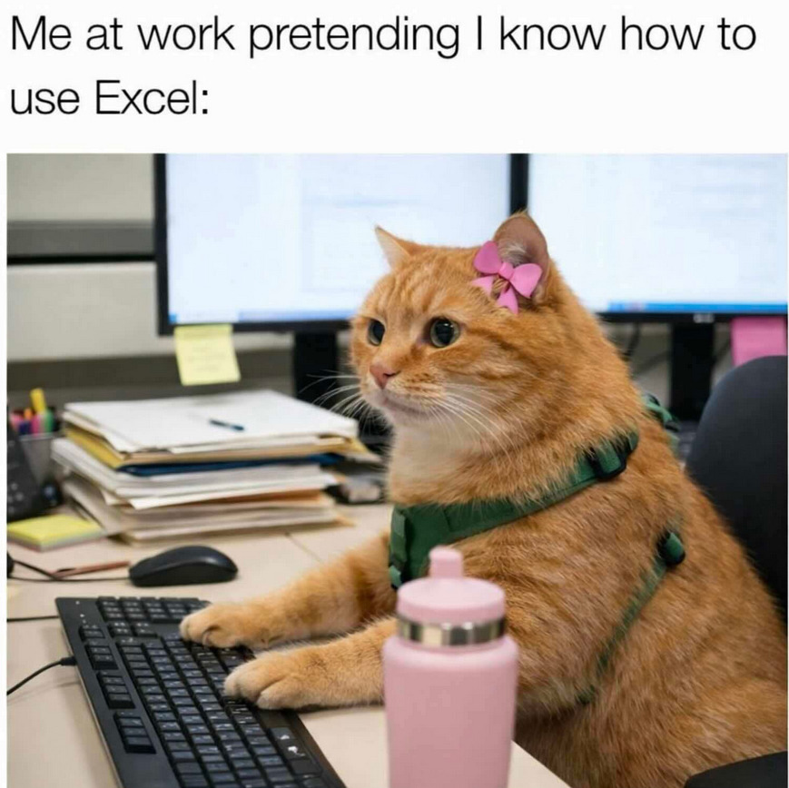 kattttt
