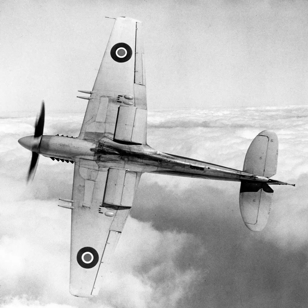 Supermarine Seafang F.31 5