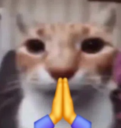 6919bd1fef56f32b95c8d0ab5560463afdf70e56