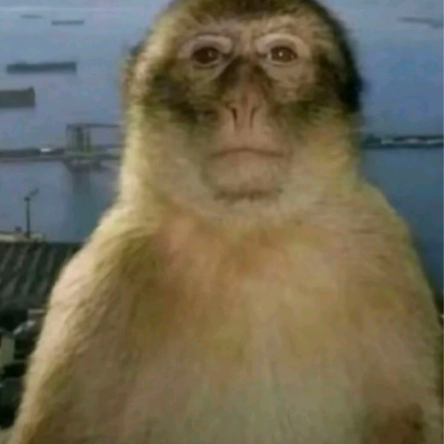 Screenshot_20251110-020131