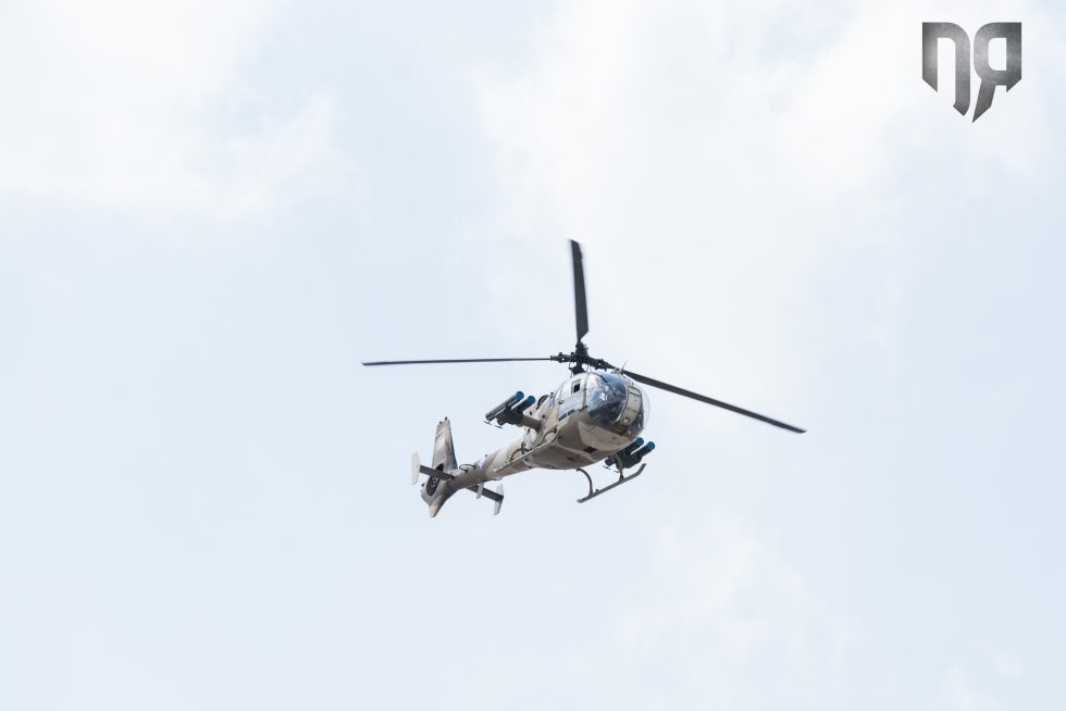 gazelle-980x654