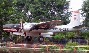 indon.jpg.w300h180