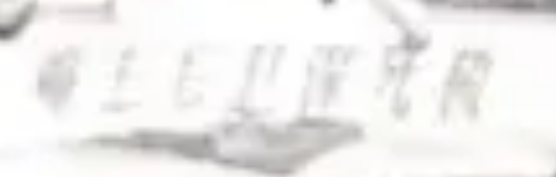 誓死捍卫毛主席（从右往左）