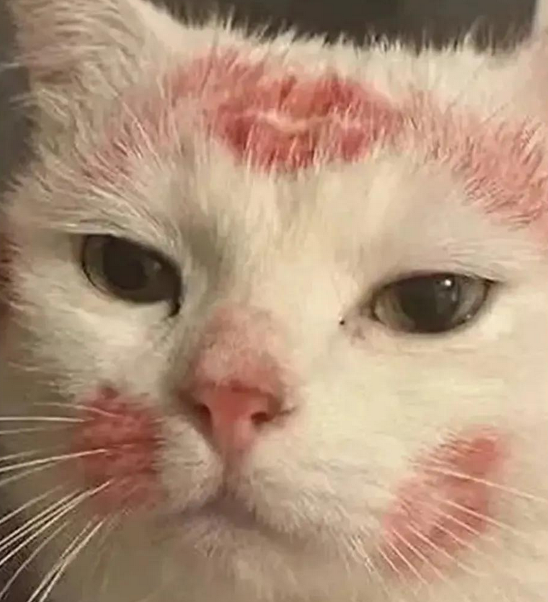 Skärmbild 2026-04-02 015231