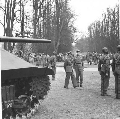 IWM (H 36997) Crop